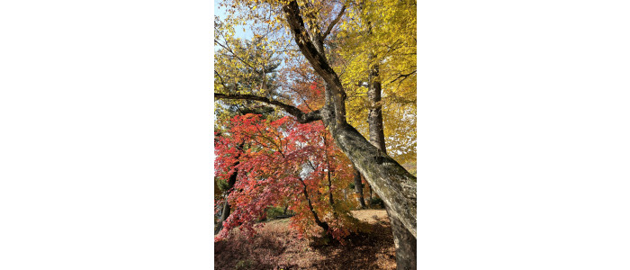 2025-2 우리절 참모습 바로알기 순례 - 지리산 벽송사